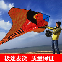  Lida Weifang kite adult large high-end professional 2020 new triangle ultra-long tail breeze easy-to-fly snake kite