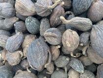 500g Yunnan grass fruit 500g fresh hay spice seasoning star anise cinnamon fragrant leaf household marinade