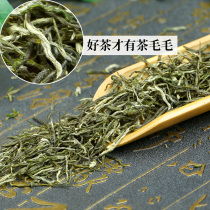 2022 Yongchuan Show Sprout Cloud Foggy level Ming Former Mao Feng Green Tea Hair Spike Native Alpine Tea Bulk Chongqing Special