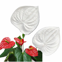 New product manufacturer Direct sales emulation Inform flip sugar flower textured silicone mold bread flower red palm petals