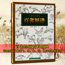 Genuine hundred bird atlas(painting data atlas) Wang Manliang Teng Huawen painting sparrows house sparrows peacocks and other Gongbi white drawing line drawing material Teaching materials tutorial auxiliary manuscript line drawing Gongbi painting Tianjin people