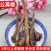 Dandelion root 500g Chinese herbal medicine 5-year growth period wild male root tea mother-in-law Ding special sale dandelion grass