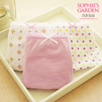 Cotton Element Special Cabinet Lady Briefs Woman 100% Pure cotton Low waist triangle All cotton Young girl Large size LB558