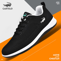 Cadile crocodile mens shoes spring trendy shoes 2020 new breathable mesh sports board shoes trend mens casual shoes