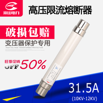 Current limiting fuse XRNT1-10 31 5A fuse core tube SDLAJ-12KV for protection of high voltage transformer