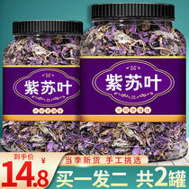 Purple Suleaf Traditional Chinese Medicine Fresh Edible Dried Purple Suyetea Suko Seeds Commercial Purple Sutea Wild Purple Suttyledon Fresh