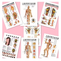 Moxibustion through the body of the body through the acupuncture massage wallchart foot hand head reflection area of the head health chart
