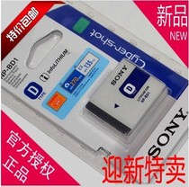  Fine version Sony SONY DSC-T90 DSC-T900 DSC-T900 DSC-T300 camera battery NP-BD1