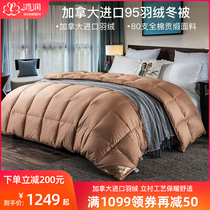 Hongrun Home Textile 80 pieces cotton satin imported from Canada 95%white duck down duvet double winter quilt core