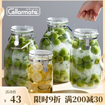 Star Nitrate Japan imported hand brewed plum wine bottle stuffed strawberry green plum wine sealed jar sparkling wine kimchi glass bottle