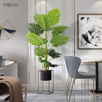 Indoor Emulation Green Planting Turtle Back Tree Potted Living Room Home Bionic Plant Floor Window Balcony Decorated Bonsai