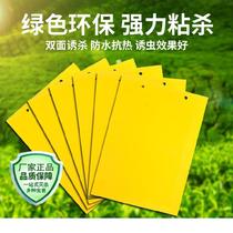  Greenhouse armyworm board Fly paste Citrus catch trap board Household fly mosquito tree mosquito post kill