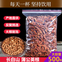 Changbai Mountain dandelion root tea natural super wild 500g clear fire mother-in-law non-whole root pure root bulk Bulk