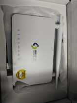 Pole router 307 300m wireless router dual antenna WiFi home