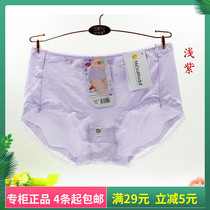 4 Daisy girl panties 29195 mid-waist Modal cotton Lace edge hip comfort briefs