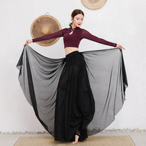 Opening Dance Swing Show Classical Double-layer Long Dress Pink Set Belly Dance Show