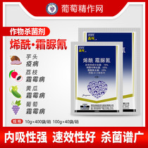 Nopsin Jingmaenoylmorpholine Frost Cyanide Grape Cucumber Frost Mold Black Shed Taro Tomato Pesticide Fungicide