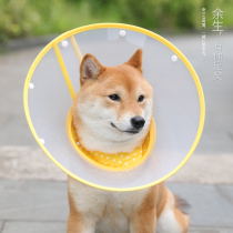  Elizabeth ring neck cover Dog supplies Neck collar Cat dog ring collar Cat Elizabethan anti-bite licking headgear