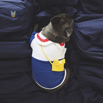 Break code clear cabin Puppy clothes T-shirt school uniforms for school pure cotton Fabo tedi Beaume Two-foot clothes
