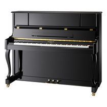 Germany imported piano professional examination young teacher Home vertical childrens beginner new real piano rental