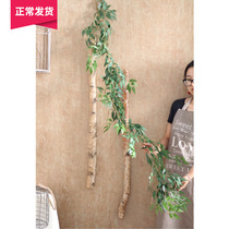 (Mountain Tree) emulation 1 7 m willow leaf decoration winding rattan vine Vine Flower Art-built Prop Tropical Forest
