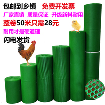 Green Small Hole Household Plastic Fence Mesh Thickened Balcony Anti-Guard Chicken Duck Goose Foot footbed Outdoor breeding Leaking Manure