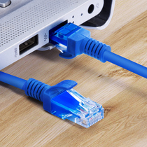 Super Category 5 network cable home high-speed laptop broadband cable indoor 100 megabit fiber 1M meter 5 10