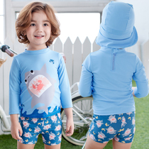 Korean Children's Swimsuit Boys Split Kids Shark Swimsuit Swimsuit Baby Middle Boy Swimsuit Pants Set