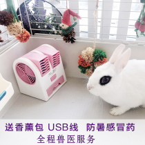 Electric fan cooling anti-heatstroke heat dissipation summer rabbit dragon cat guinea pig hamster hamster flowers branch N11