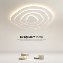 Living room light suction ceiling lamp hall main lamp modern minimalist designer extremely minimalist creative led bedroom lamp Nordic Lamp