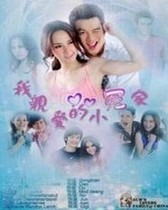 DVD version Thai My dear little wrongdoer] Thai Chinese characters All 19 episodes 4 discs