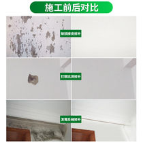 Waterproof Tonic Wall Paste Wall Repair Cream White Putty Cream Domestic Exfoliable universal Tonic Wall Paint Putty Powder Interior Wall