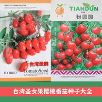 Taiwan Millennial Small Tomato Seed Sacred Virgin Fruits Seed Cherry Tomatoes Taste Good Balcony Potted Vegetable Seed