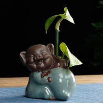 Creative cute piglet hydroponic flower vase creative indoor green planter purple sand open piece tea pet tea set decoration