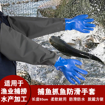 Fish catching plastic long gloves Fishing fishing non-slip winter digging lotus root waterproof anti-stab anti-tie male plus velvet aquatic fishing gear