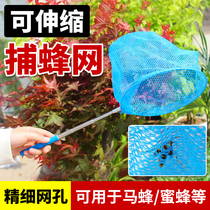 Beehive Nets Wild Catch Beehive Hummingbird Hunting Nets Beekeeping Hives Special Tools To Catch Wild Bee Pitchers Full Set