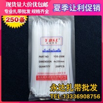  4*250mm self-locking nylon cable tie 25 cm plastic binding buckle cable tie fixed wire black and white