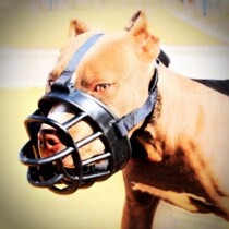 Soft dog mouth sleeve small medium and large dog mouth cover anti-bite anti-eating anti-bite water mask not easy to drop