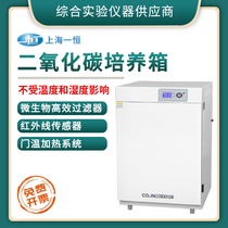 Shanghai Yiheng BPN-CH CW popularized version CO2 cultured box carbon dioxide culture tank microbial cell culture