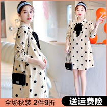 Autumn pregnant womens dress long autumn suit Fashion Net Red pregnancy skirt spring and autumn pregnant womens new