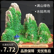 Rocking plant with stone grass landscaping Four Seasons rockery grass seed landscaping Pearl grass bonsai grass seed absorbent stone