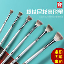Sakura Fan Pen Nylon Hairy Water Chalk Single Fish Tail Art Color Watercolor Acrylic Brush Test Set