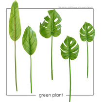 Base price clearance simulation green plant leaves single Branch Turtle back leaf paradise bird Canna soft decoration project F577