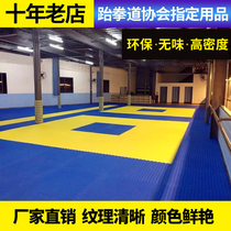 Direct non-slip taekwondo mat 1 m high density thickened training foam sports mat gym Sanda