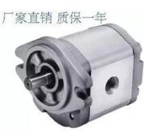 Quality Assurance Gear Pump PA-9-R-D6F PA-10-R-D6F Quantitative Gear Pump