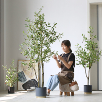 Nordic ins simulation plant potted olive tree large plant fake green plant living room indoor floor ornaments decoration
