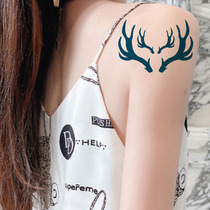 Fruit juice herbal tattoo stickers cant be washed off non-reflective antler arm waterproof pattern animal tattoo stickers can last 2 weeks