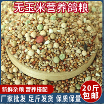 20 catties of pigeon food without corn pigeon food nutrition feed bird food carrier pigeon ornamental pigeon meat pigeon young pigeon old pigeon food
