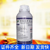 Master Zhu strawberry color oil food additives liquid flavor 500g