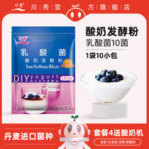 Kawahide Yogurt Fermentation Bacteria Lactic Acid Bacteria Household Bacteria Powder Make Yogurt Special Fermentation Powder Fermentation Agent Homemade Probiotics